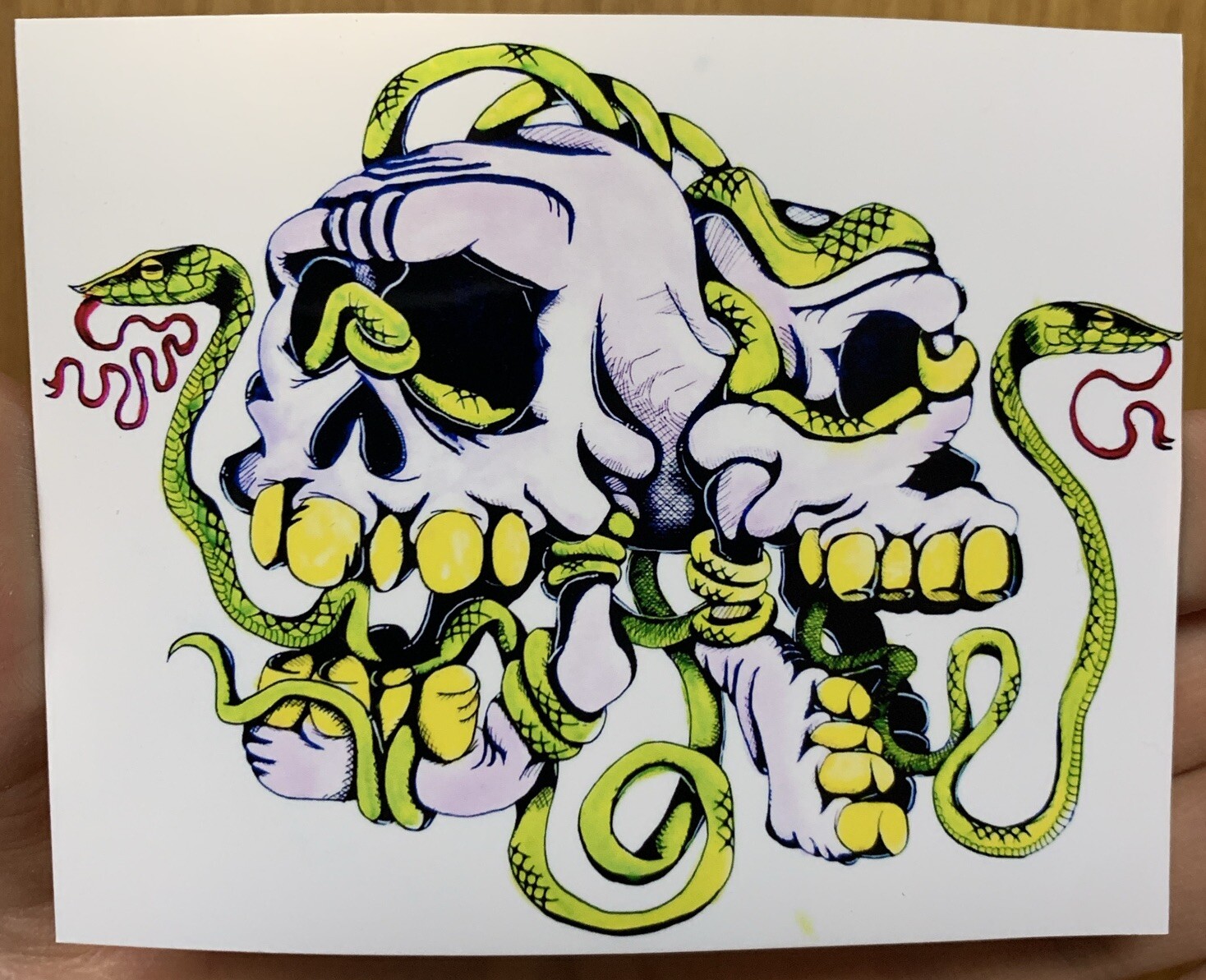 4 Skull Skeleton Watercolor Art Stickers Pack Lot Set Graffiti Decals Zombie