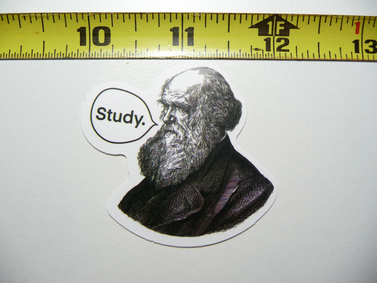 CHARLES DARWIN STUDY SMALL STICKER DECAL FUNNY PARODY FAMOUS FUNNY