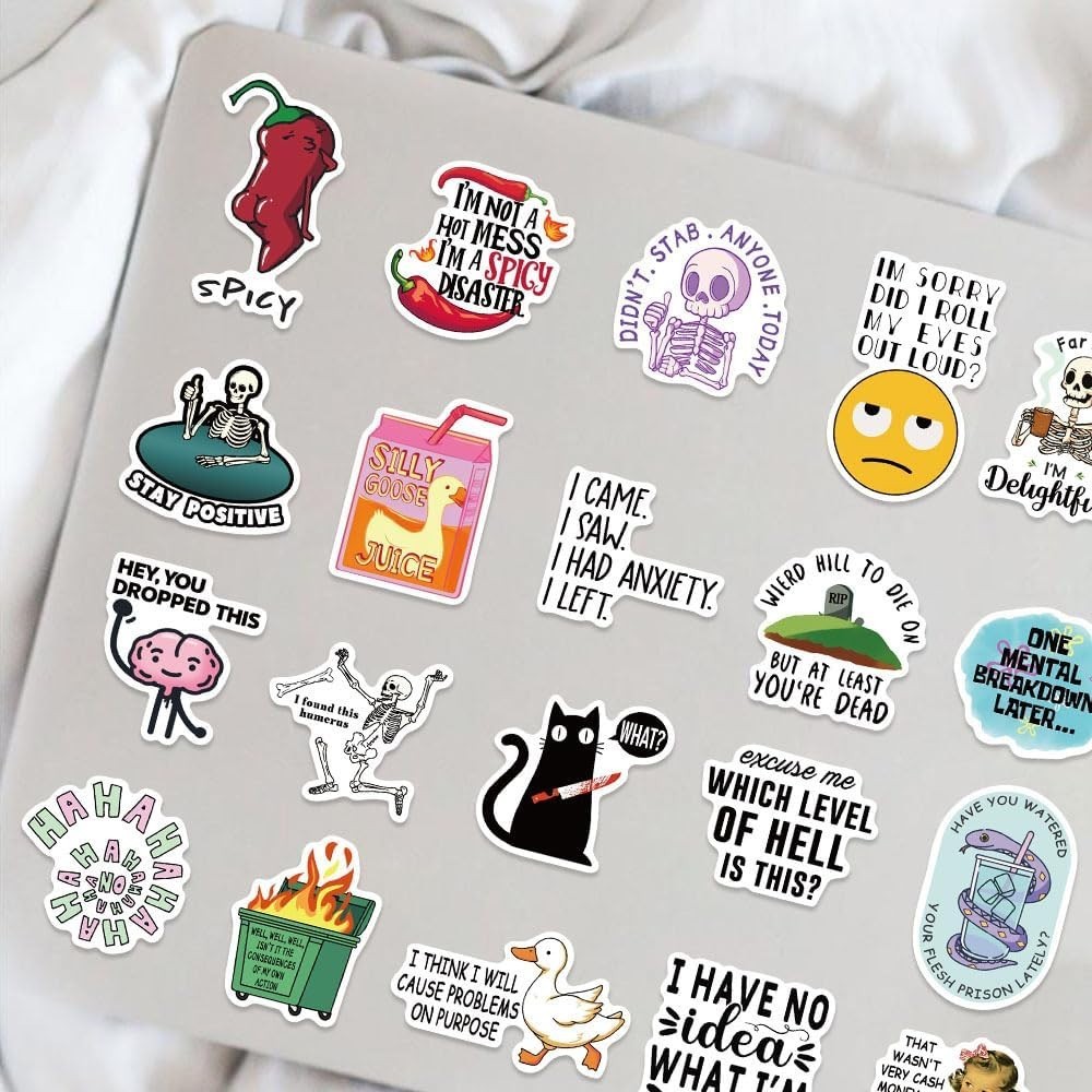 50Pcs Funny Adults Stickers Bulk, Prank Meme Sticker for Kids Teens Adults, S…