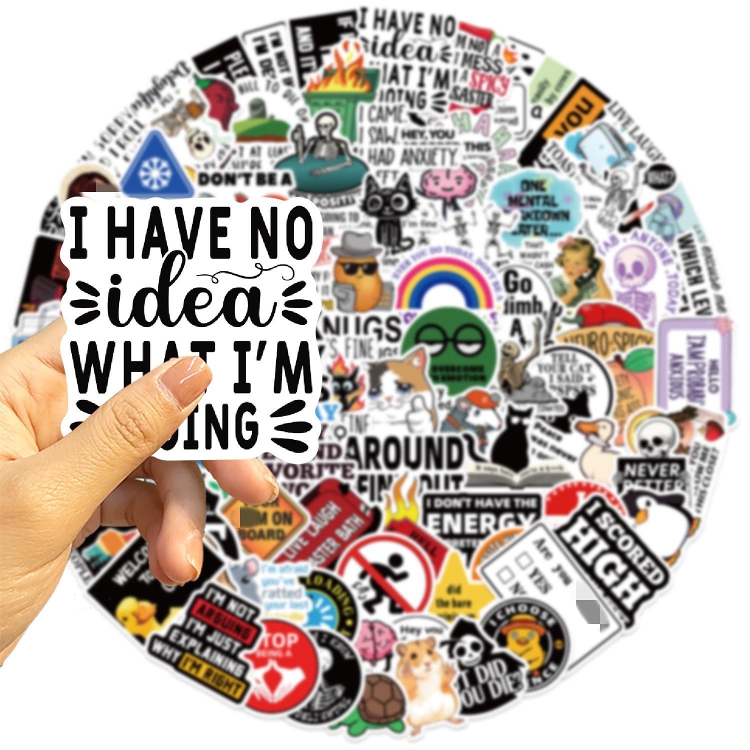 Funny Adult Waterproof Meme Stickers 100 Pcs Decals for Water Bottles Dirty