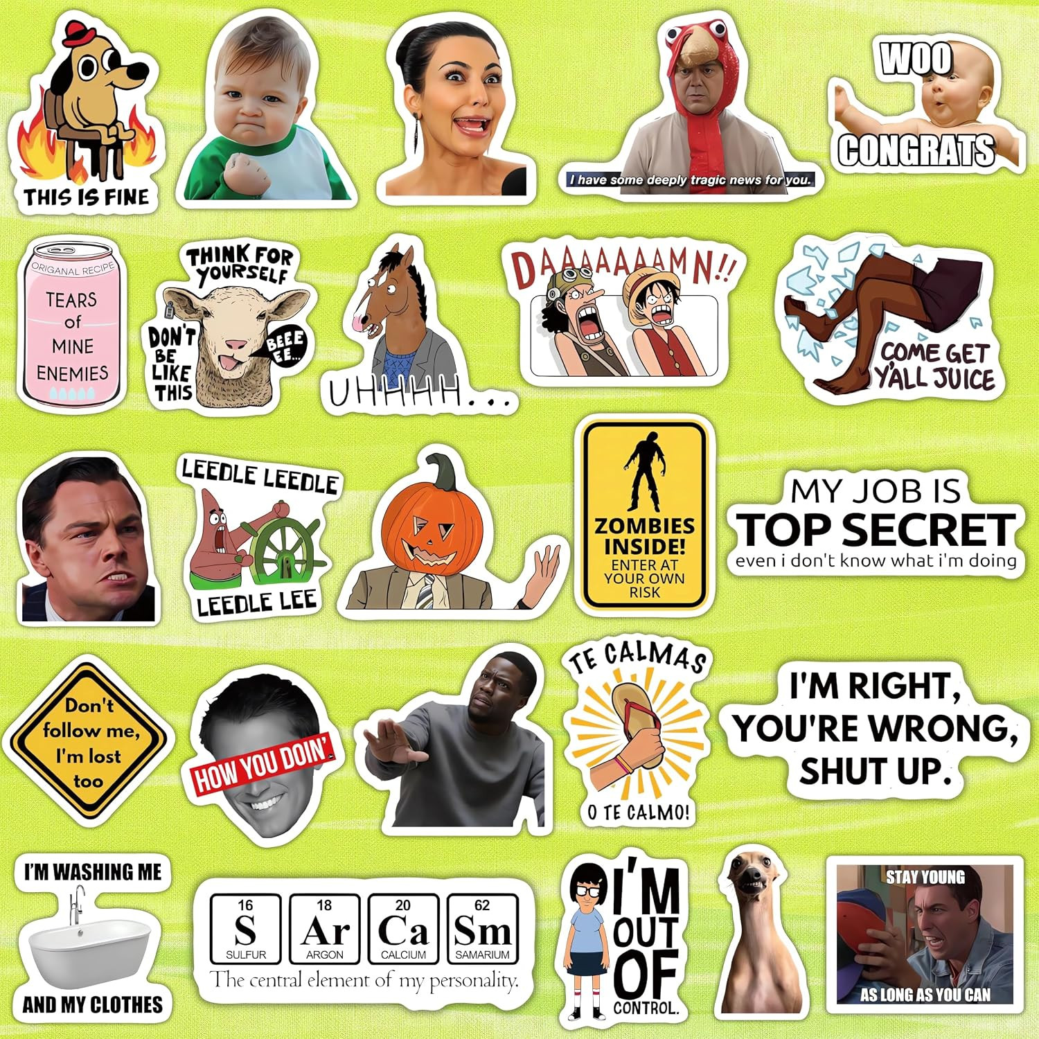 500 Pcs Funny Stickers for Adults & Teens – Trendy Meme Sticker, VSCO Vinyl Deca