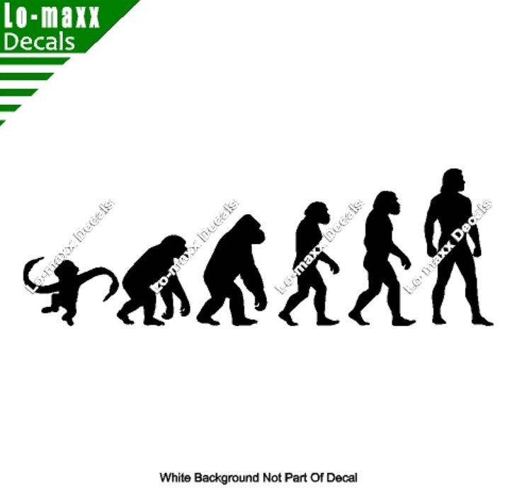 Evolution Of Barrel Of Monkeys Funny Ape To Man Vinyl Decal Sticker Art