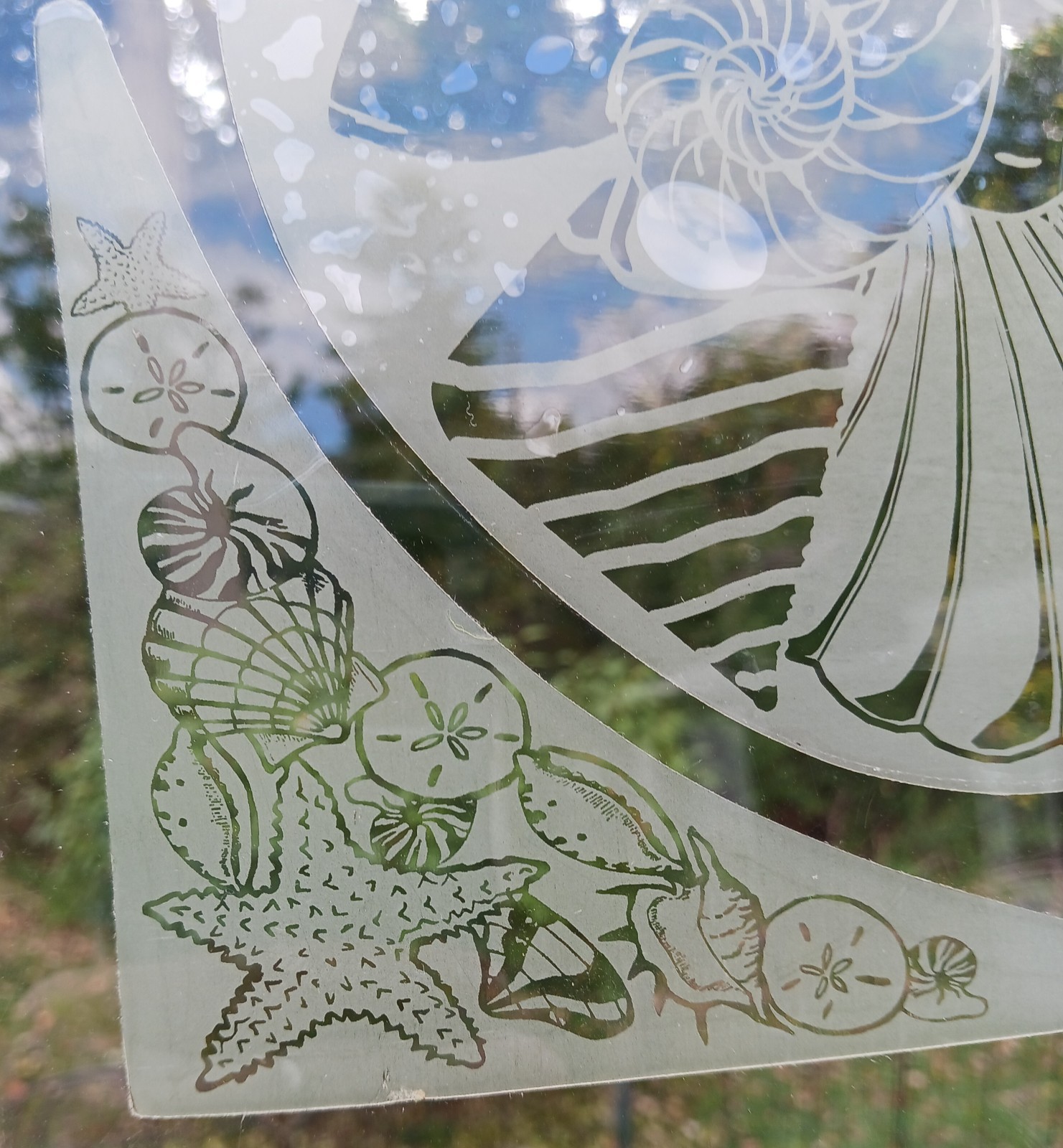 SEASHELLS Etched Look Cling 5"X5" Corners Removable & Reusable 205