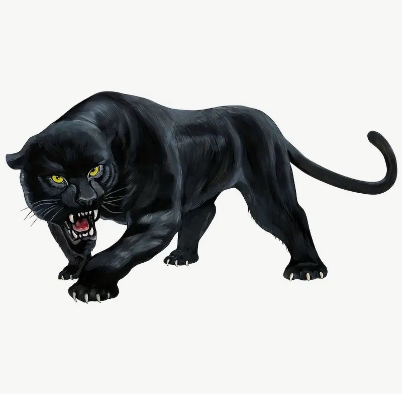 BLACK LEOPARD PANTHER 6” INCH VINYL DECAL STICKER 1PC