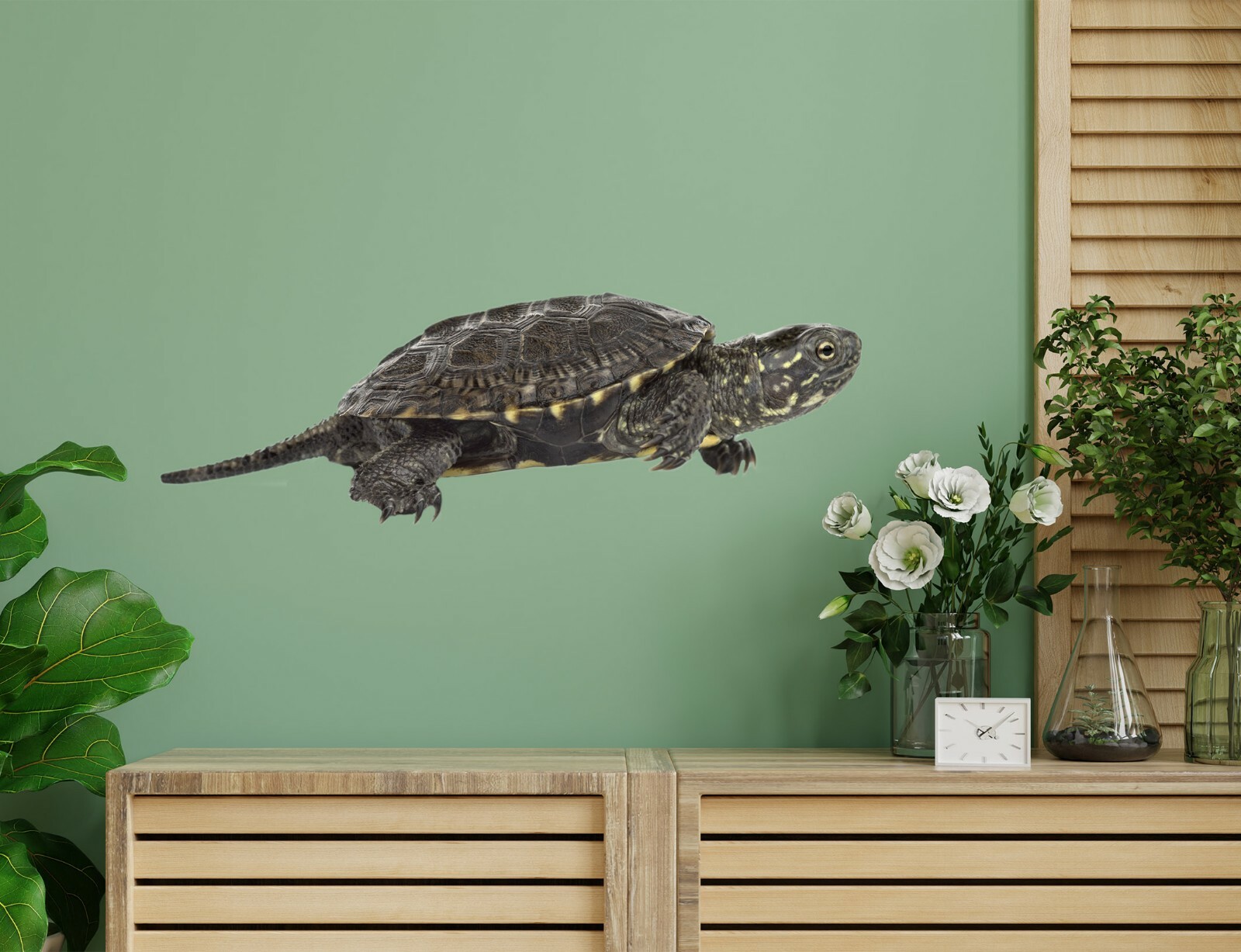 3D Black Turtle G693 Animal Wallpaper Mural Poster Wall Stickers Decal Honey