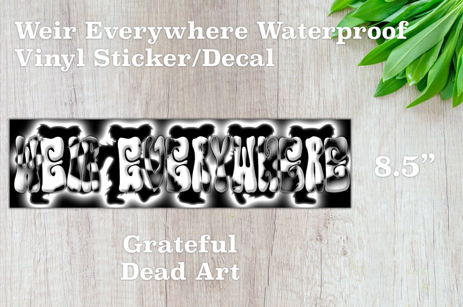 Weir Everywhere Waterproof Vinyl Sticker Decal Grateful Dead Lyric Art
