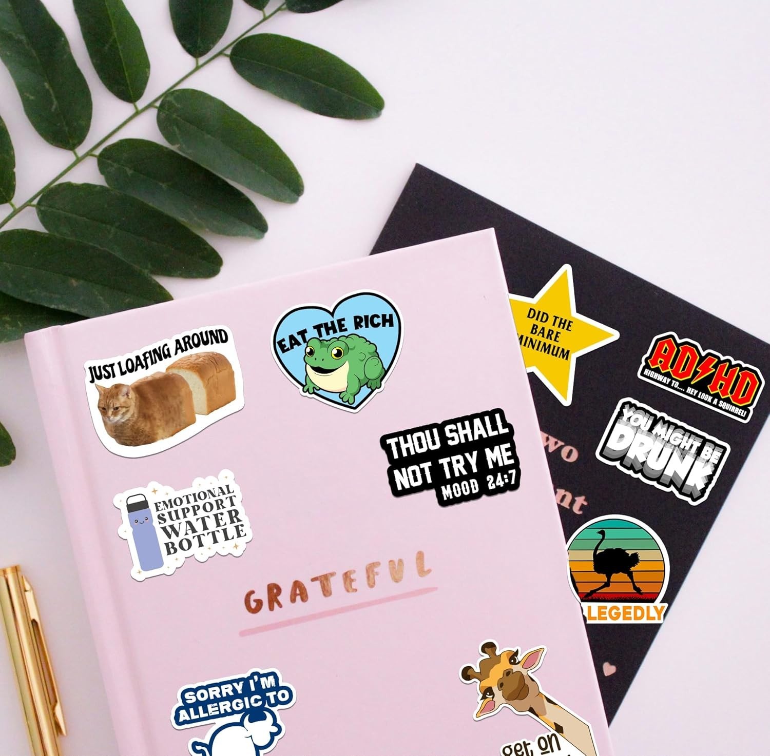 225PCS Funny Holographic Stickers Waterproof Vinyl Meme Decals Laptop Phone