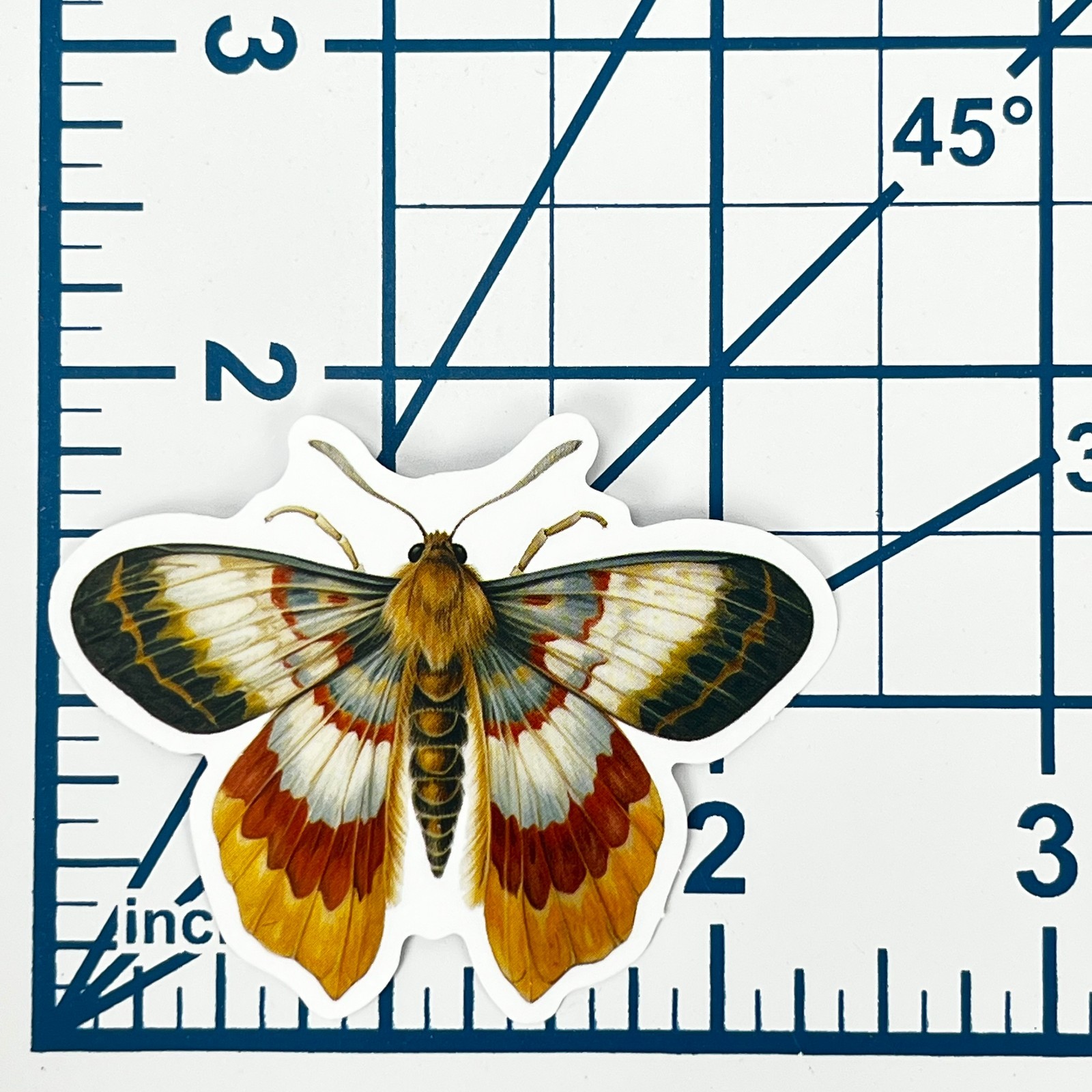 Marigold Yellow Moth Vinyl Sticker Vintage Orange Insect Journal Laptop