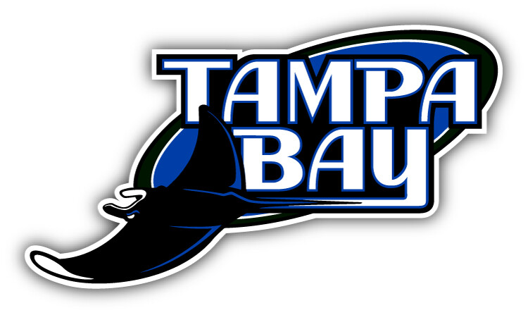 Tampa Bay Rays MLB Baseball Sport Logo Car Bumper Sticker Decal "SIZES"