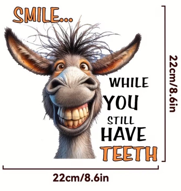 Smile While You Have Teeth Iron On Heat Transfers Vinyl T Shirts DIY Clothing