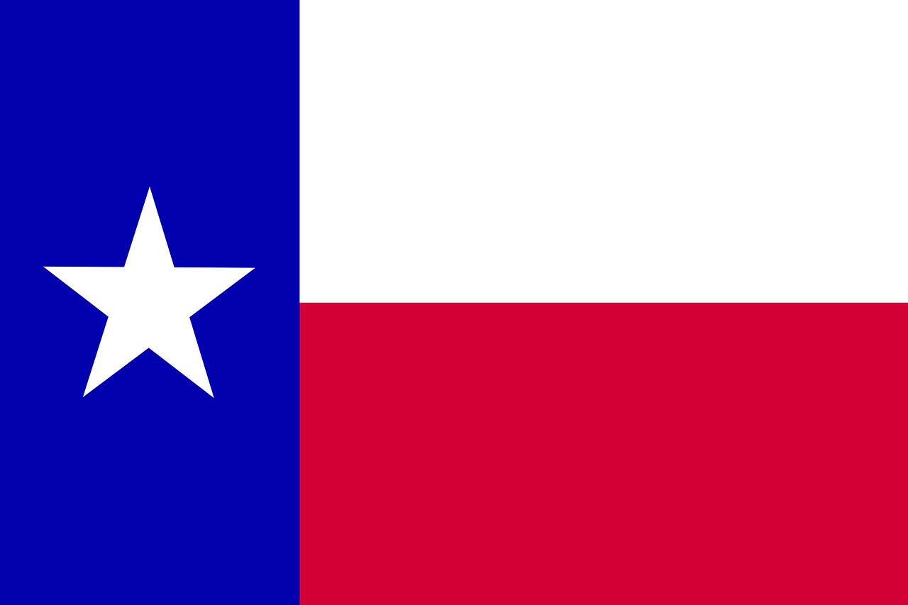 Texas state flag sticker weatherproof bumper vinyl decal