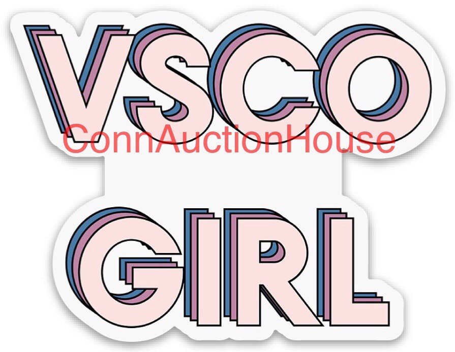 VSCO GIRL Sticker Hydro Water Bottle Laptop Phone Pink Decal