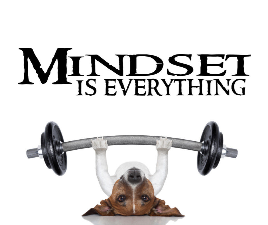 Mindset is Everything~ Motivational Vinyl Wall Decal Quote Sticker Inspirational