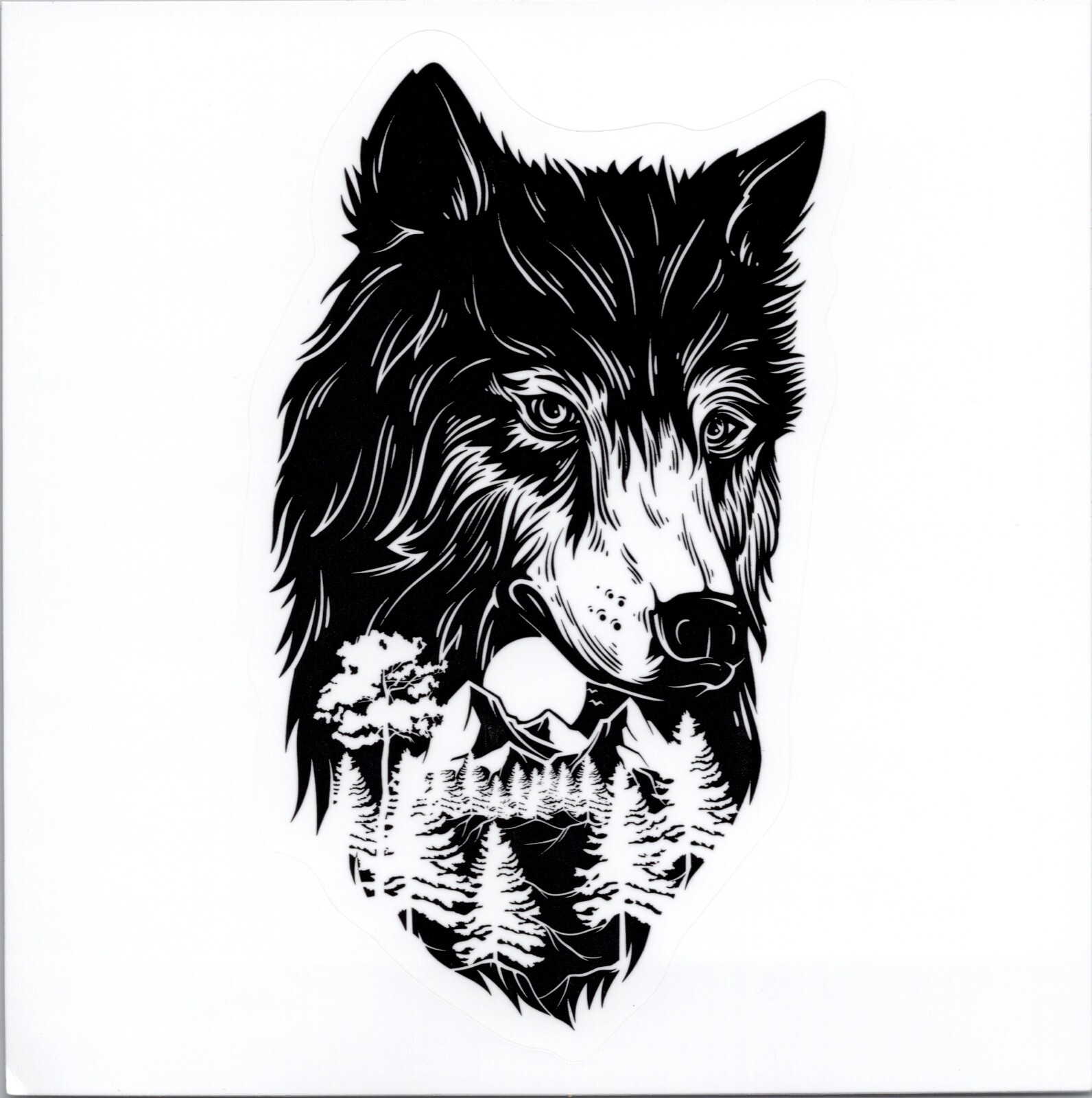 WOLF IN THE WILDERNESS – Vinyl Sticker – 4.25in x 2.50 in