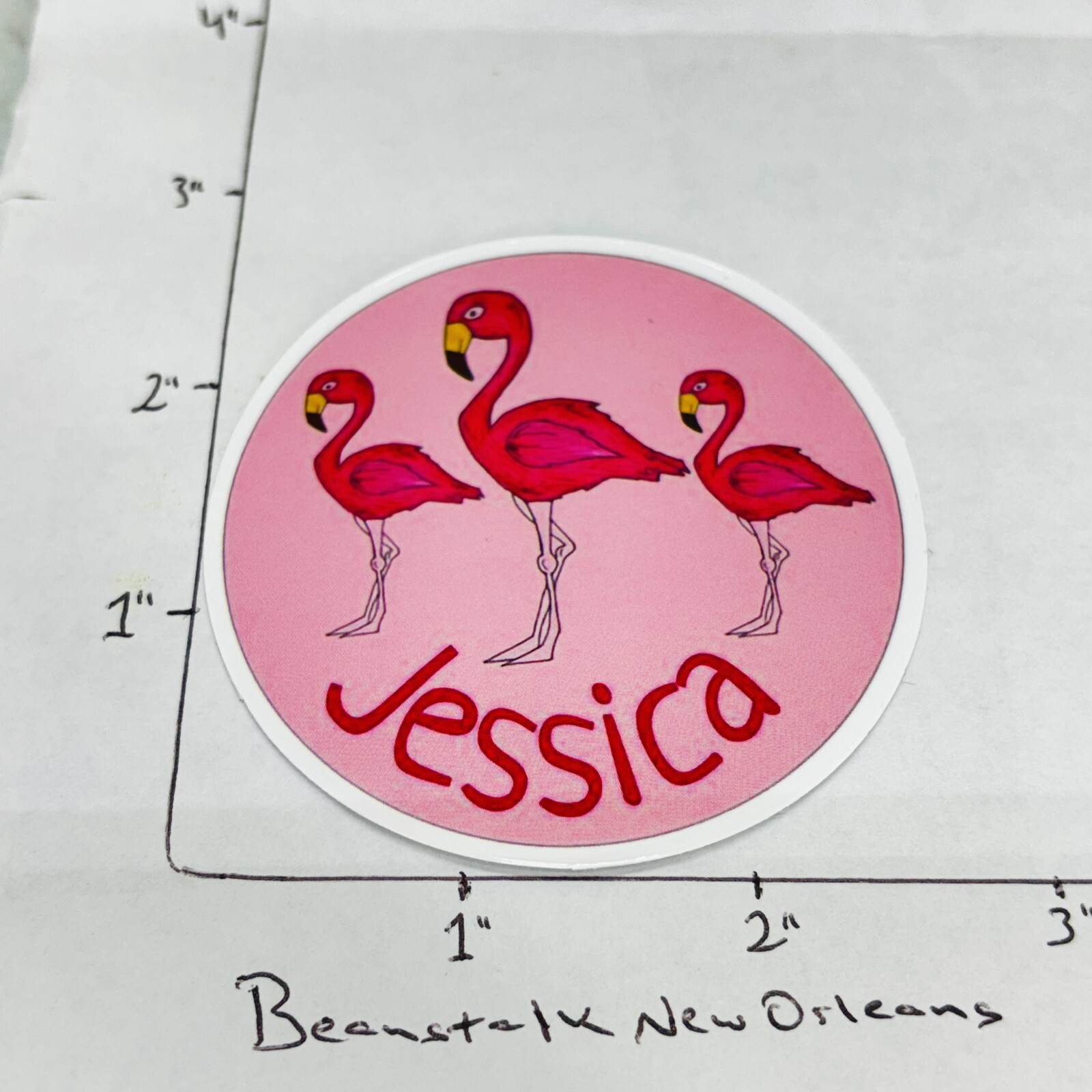 Aesthetic JESSICA PINK FLAMINGO Vinyl Sticker Decal Car Skateboard •w/ Tracking‼