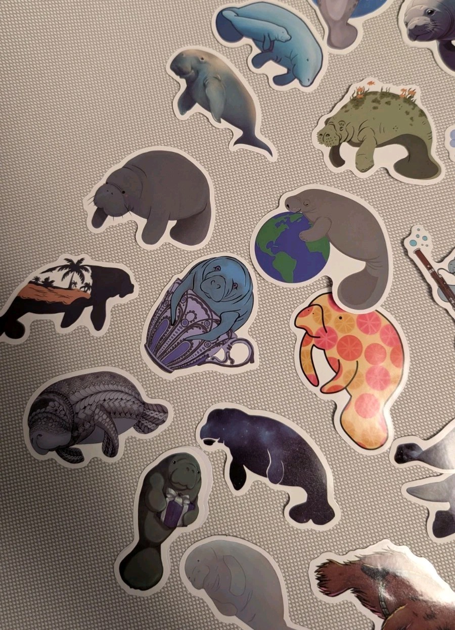 MYSTERY MIXED LOT OF 10 MANATEE GRAPHIC DECAL STICKER ART CAR WALL LAPTOP DECOR
