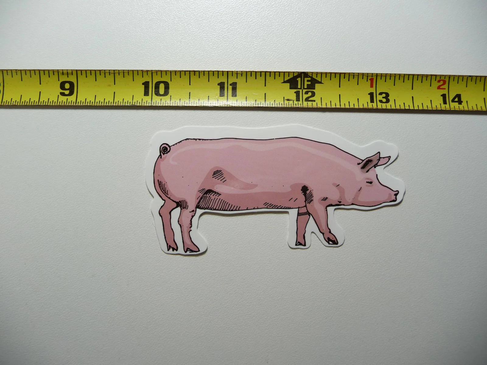 PIG HOG SMALL STICKER DECAL ZOO ANIMAL WILD FUN FUNNY