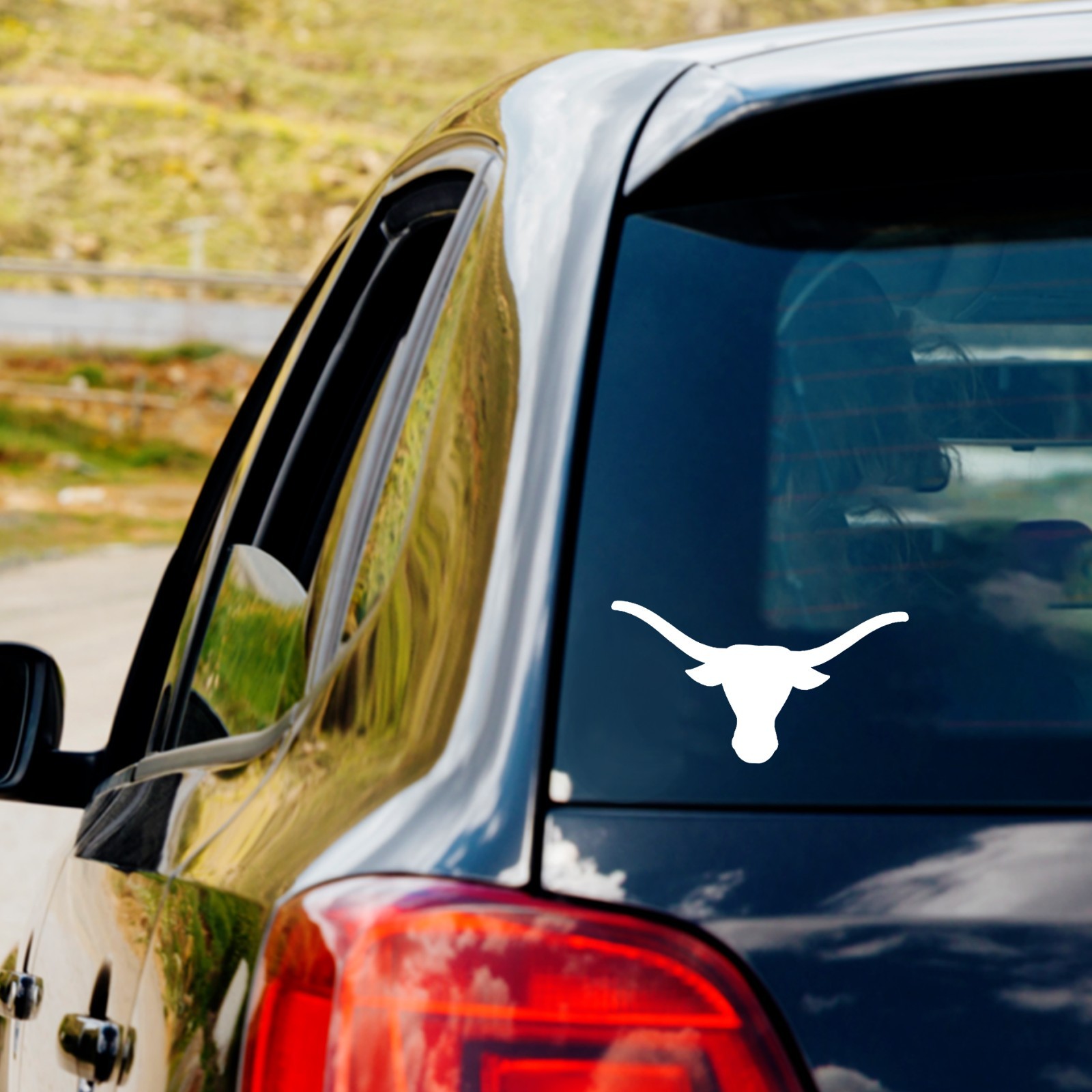 Longhorns Vinyl Decal Sticker Car Truck Window Laptop Sticker