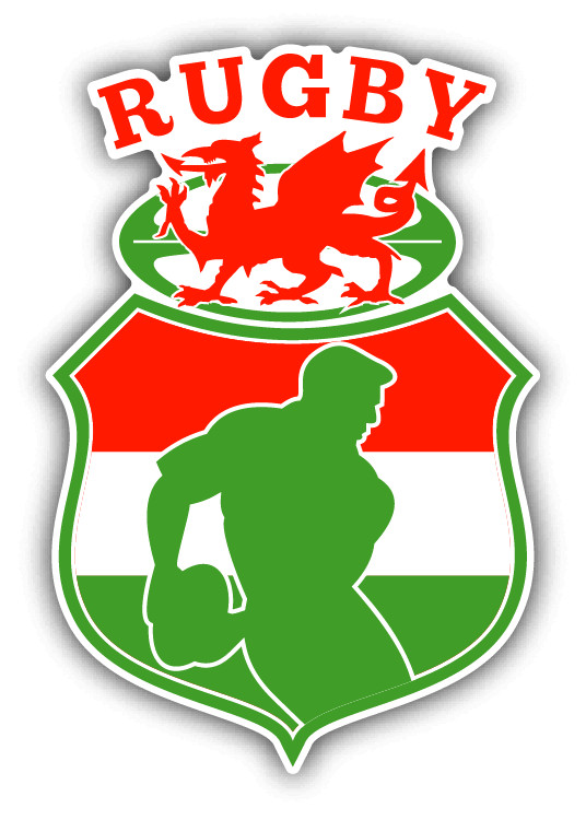Rugby Wales Sport Dragon Car Bumper Sticker Decal