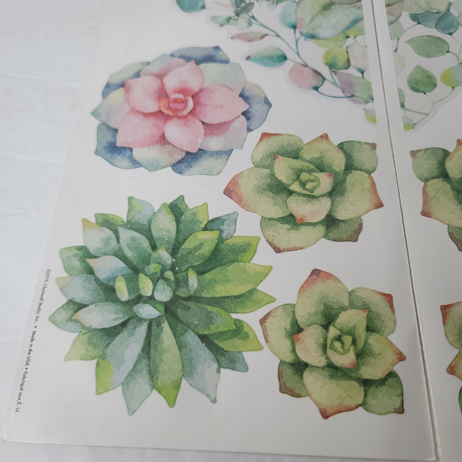 2 PKG NEW Succulent Floral Cactus Plants Peel & Stick Wall Decals 290269