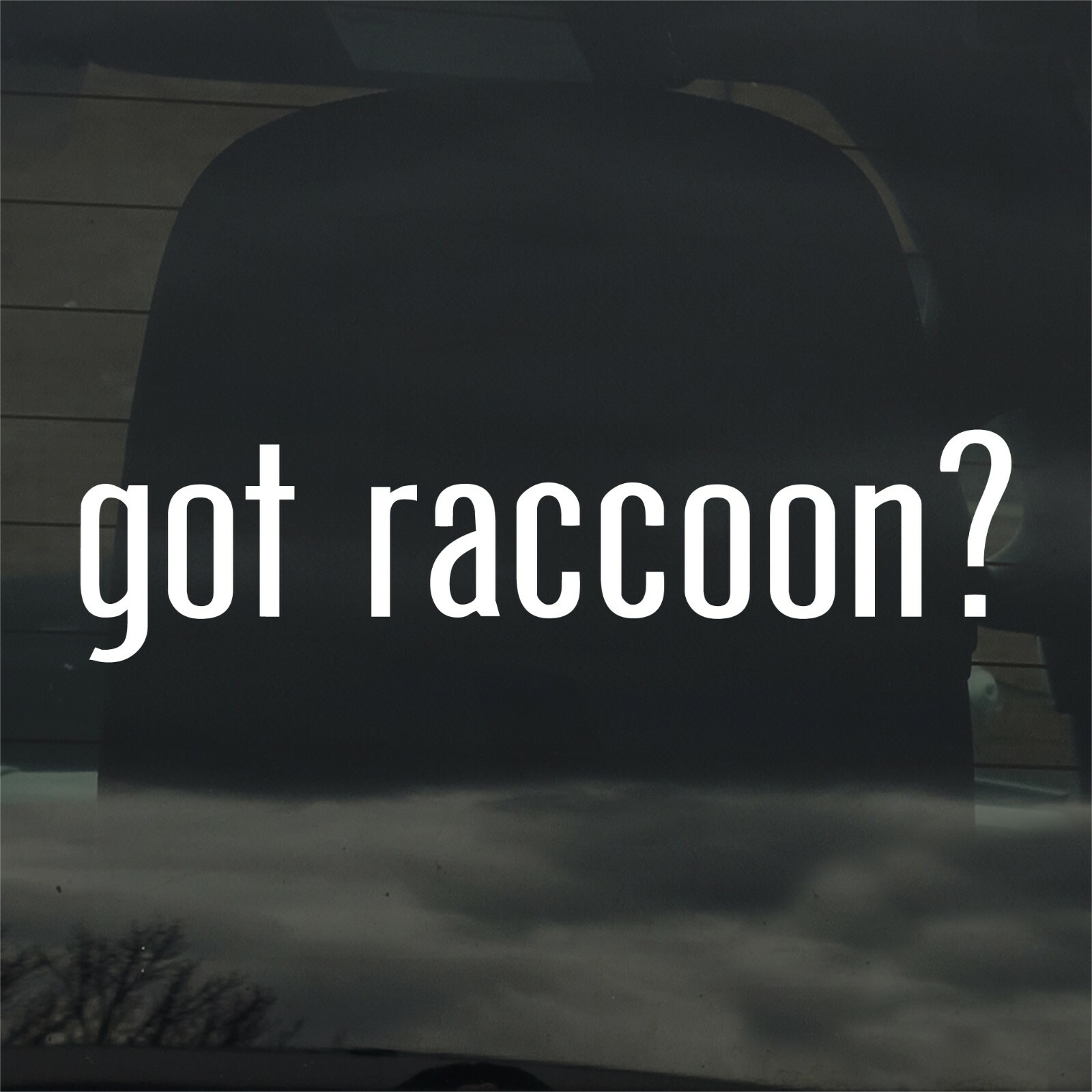 Got Raccoon? Custom Vinyl Sticker / Decal Animal, Trash Panda, Nature, Wildlife