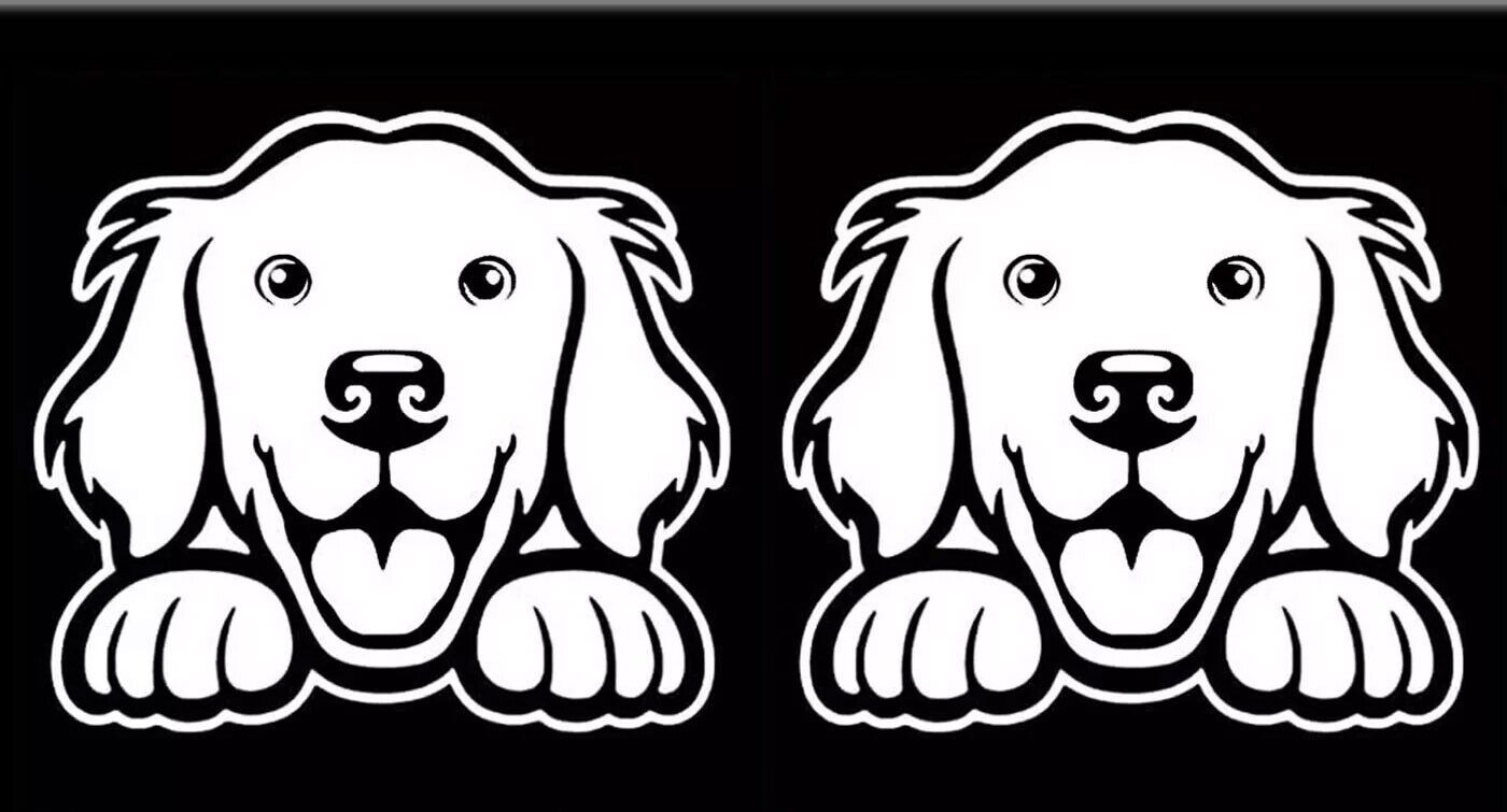 Golden Retriever Peeking Two White Vinyl Decals Car Truck Windows Laptop Tablet