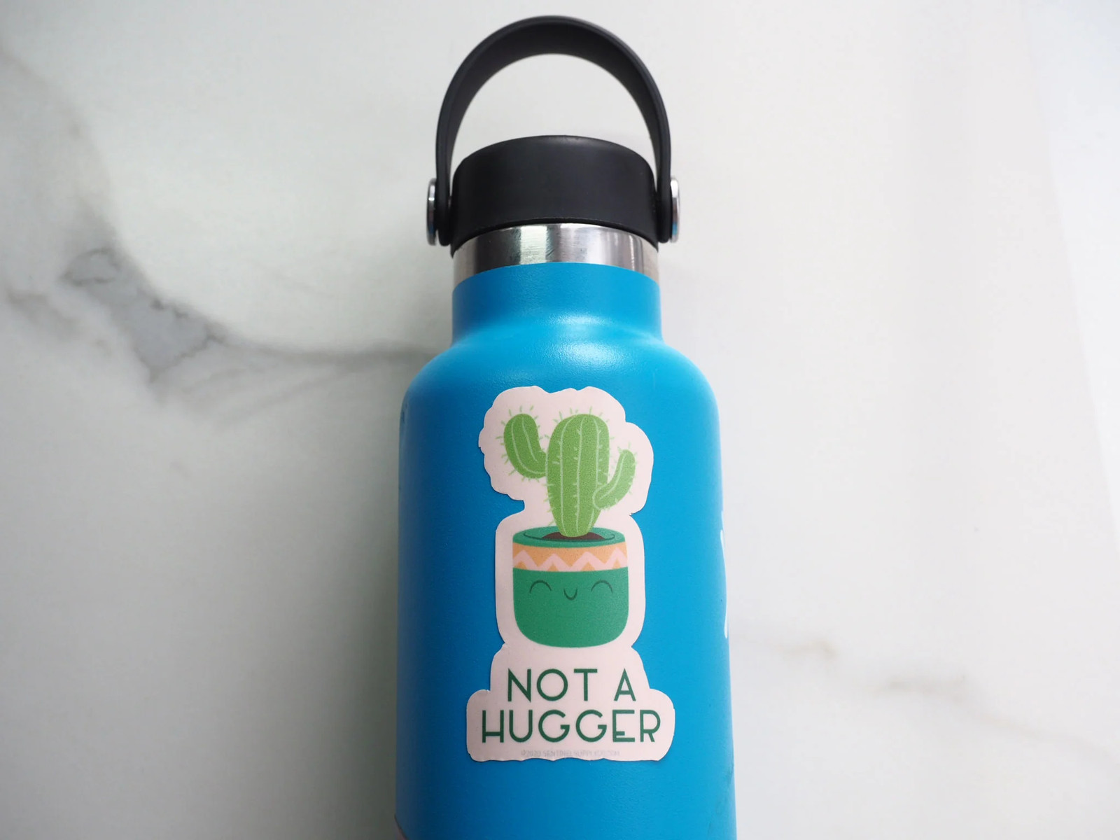 Not a Hugger Cute Cactus Sticker