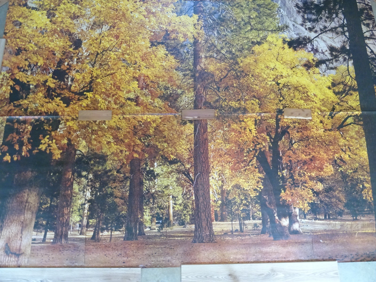 Full Wall Photo Mural Autumn Yosemite National Park Josef Muench 8’ 8” x 12’ 6”