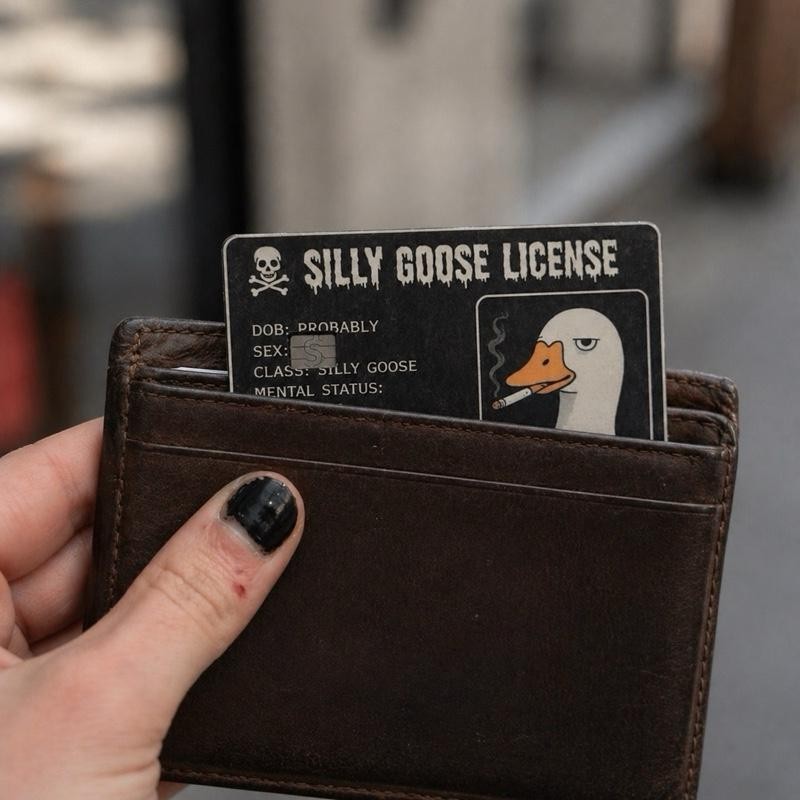 Silly Goose Credit Debit Card Skin Cover Sticker Chip Funny Decal – 2 Pack