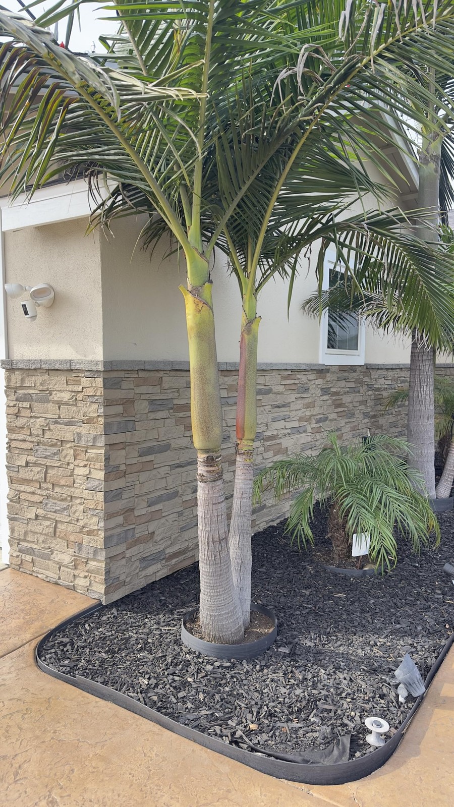 Faux Stone Wall Panels 2-Pack (7.5 Sq Ft) PU Stone Veneer Siding, Mortarless …