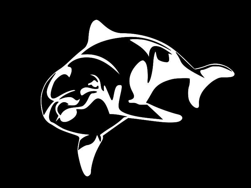 DOLPHIN Curious Dolphin Vinyl Decal Car Truck Wall Sticker CHOOSE SIZE COLOR