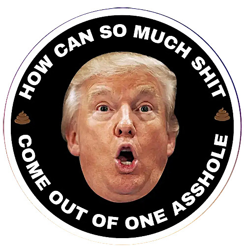 10pc Assorted Anti Trump Vinyl Stickers Kiss Cut Waterproof, approx. 1.5"Wx1.6"H