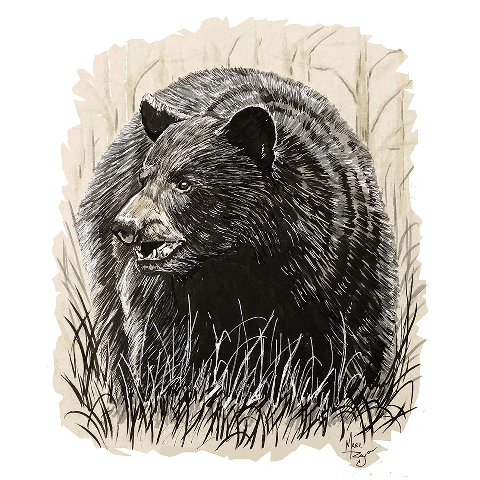 Black Bear in Woods – Printed Vinyl Decal – Car Truck SUV Boat RV