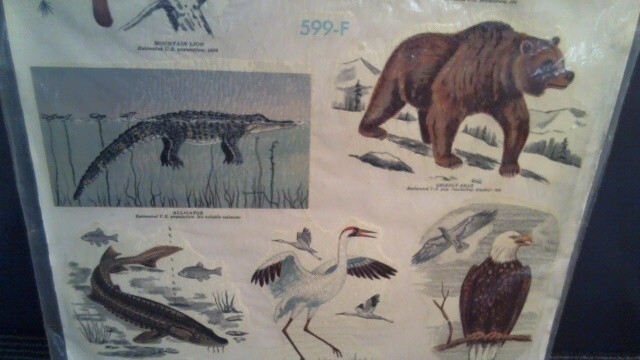 VINTAGE 1977 SEALED MEYERCORD VINYL DECALS – ENDANGERED WILD AMERICA ANIMALS