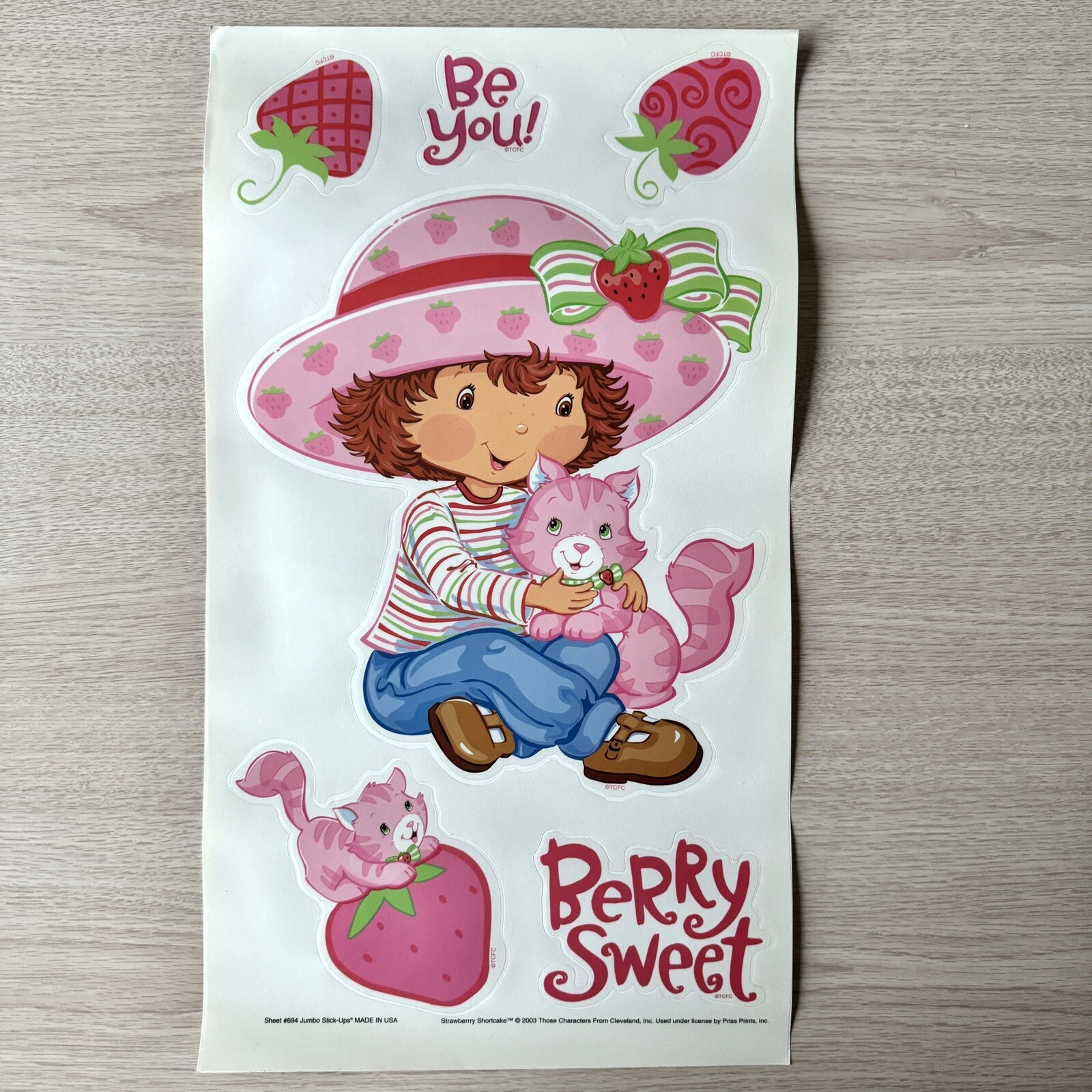 STRAWBERRY SHORTCAKE CUSTARD Cat 22 Jumbo Stick-ups wall stickers MURAL decals