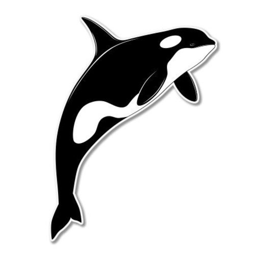 Orca Whale Car Vinyl Sticker – SELECT SIZE