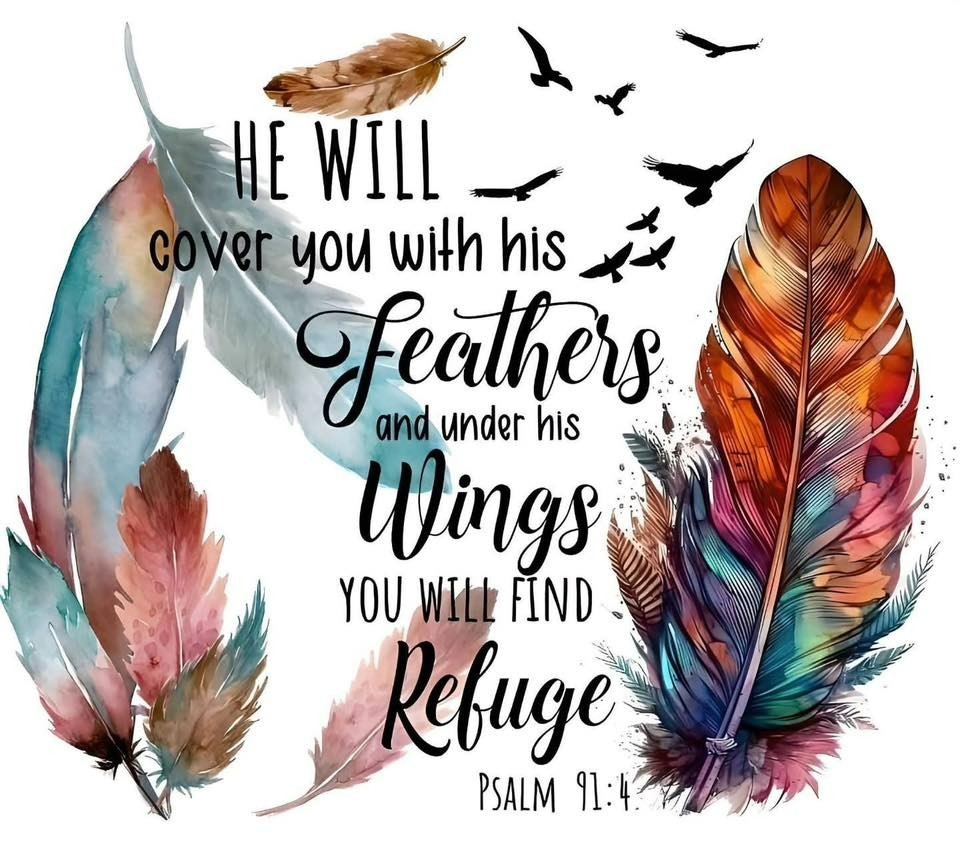 Colorful Feathers Sticker Decal Laptop Wall Mirror Cup Tumblr Locker Bin