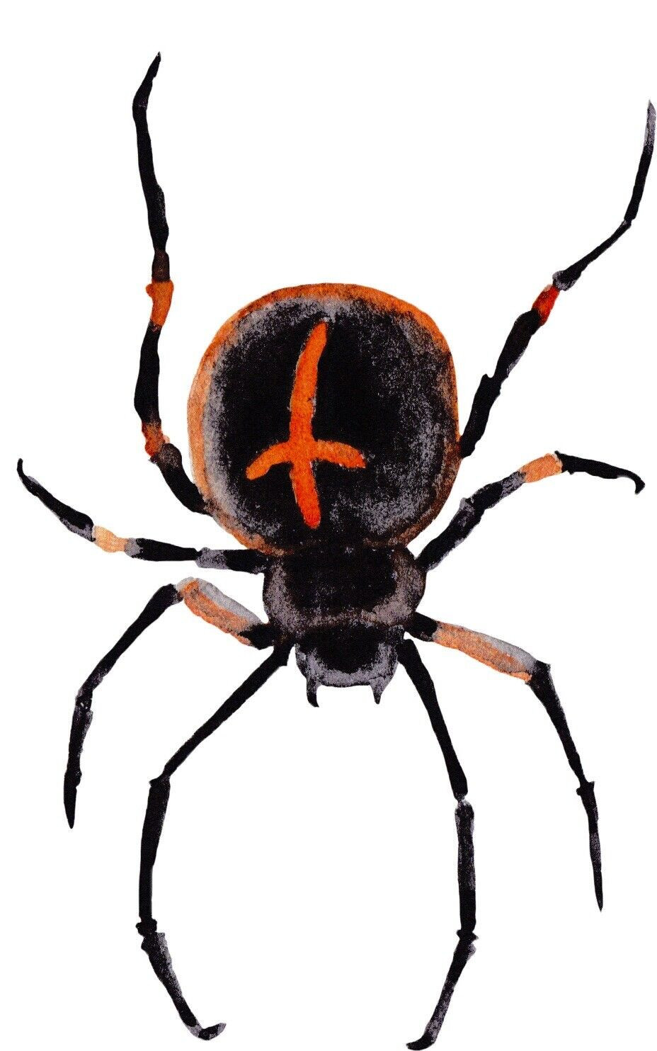 Spider Sticker Decal