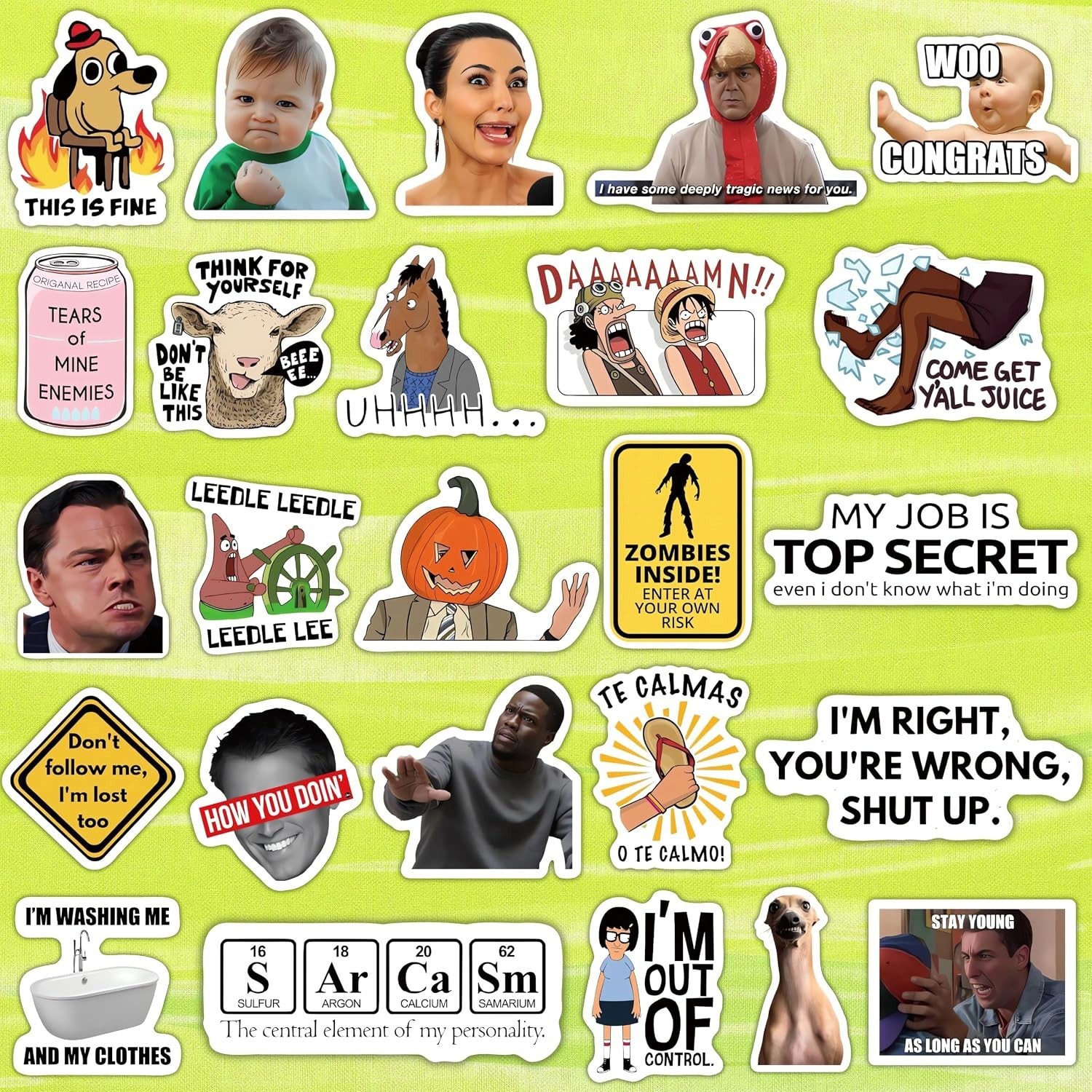 500 Pcs Funny Stickers for Adults & Teens – Trendy Meme Sticker, VSCO Vinyl Deca