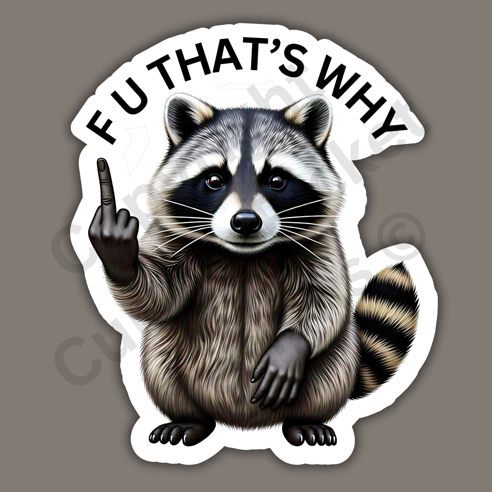 F U That's Why Middle Finger Raccoon Funny Cute 3" Vinyl Sticker