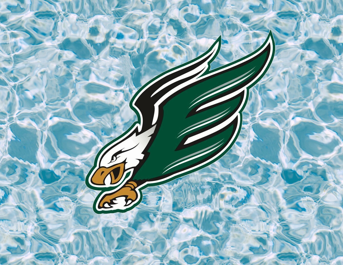 Original Philadelphia Eagles image sticker decal – Several Sizes Available