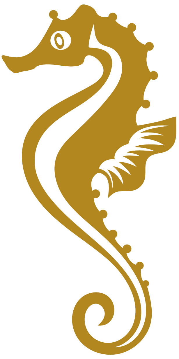 Sea Horse Decal Multicolor Made In USA
