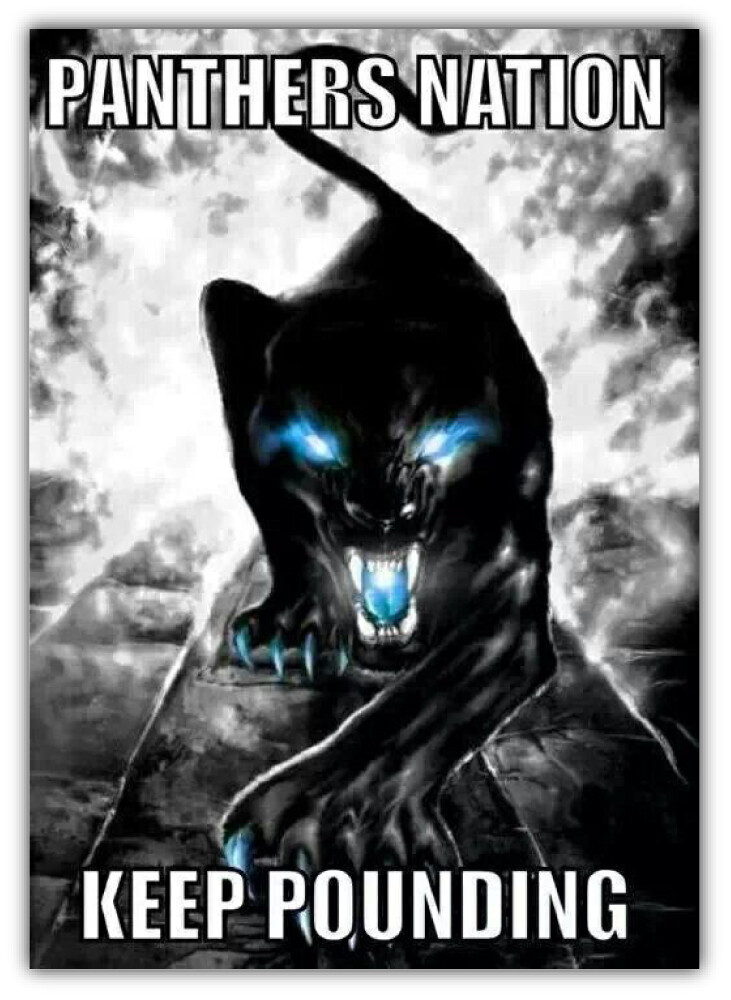 Carolina Panthers Football Logo NFL Sport Car Bumper Sticker Decal "SIZES"