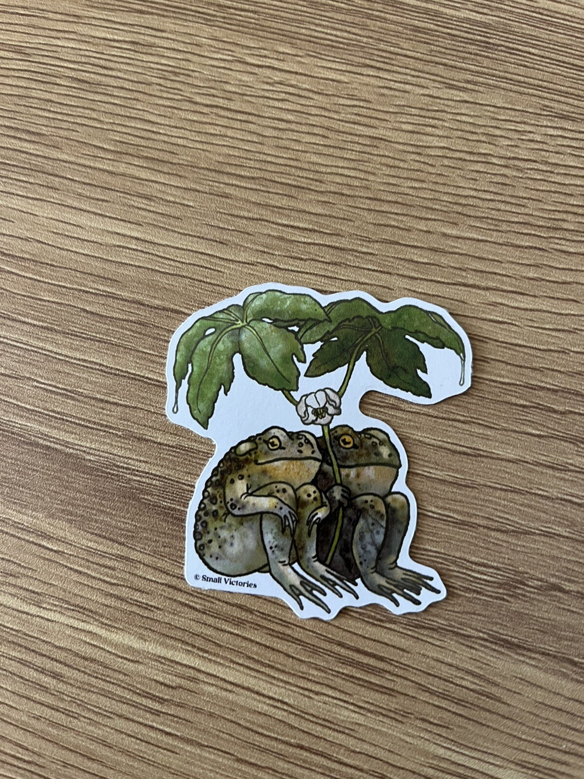 Cute Frogs Sticker, Nature Sticker