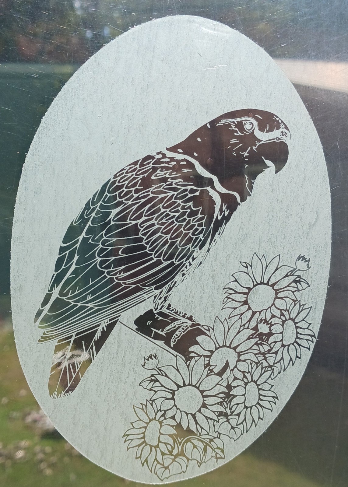 Parrot Window Decal 4"x6" OVAL Etched Glass Look Cling Removable & Reusable 10