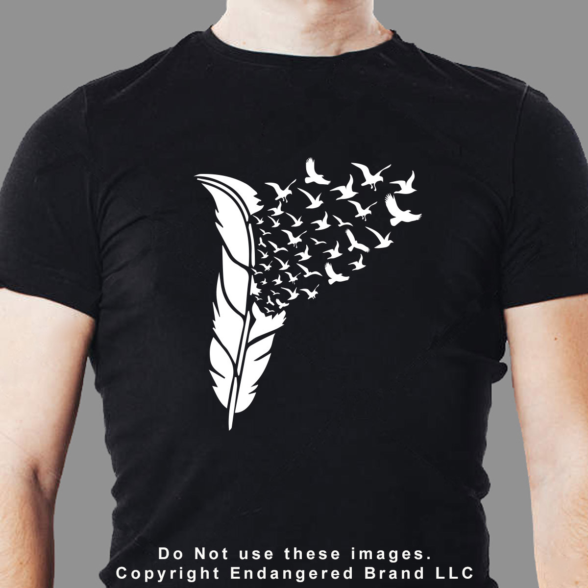 Feathers Birds Flying Native American Indian Spirit Decal Sticker