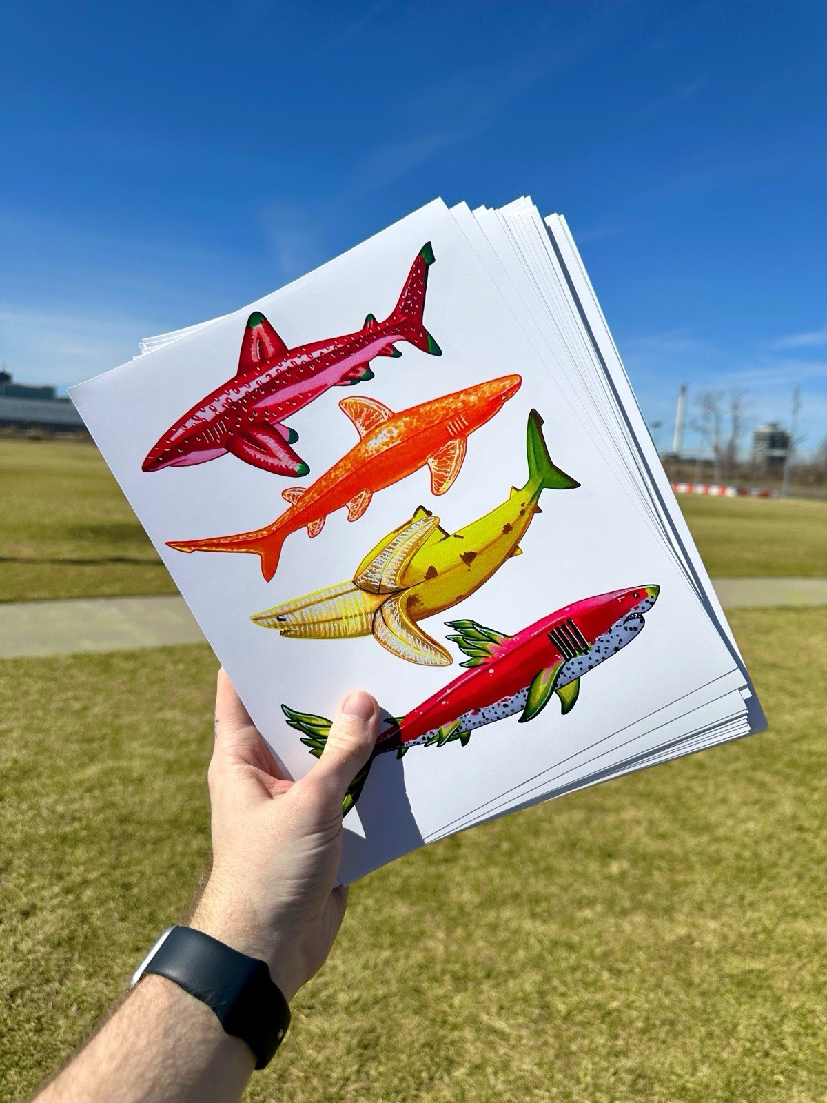 Fruit Shark Art Print 11’x8’ Wall/Home Decor