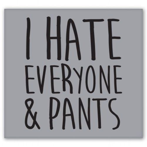 I Hate Everyone and Pants Car Vinyl Sticker – SELECT SIZE