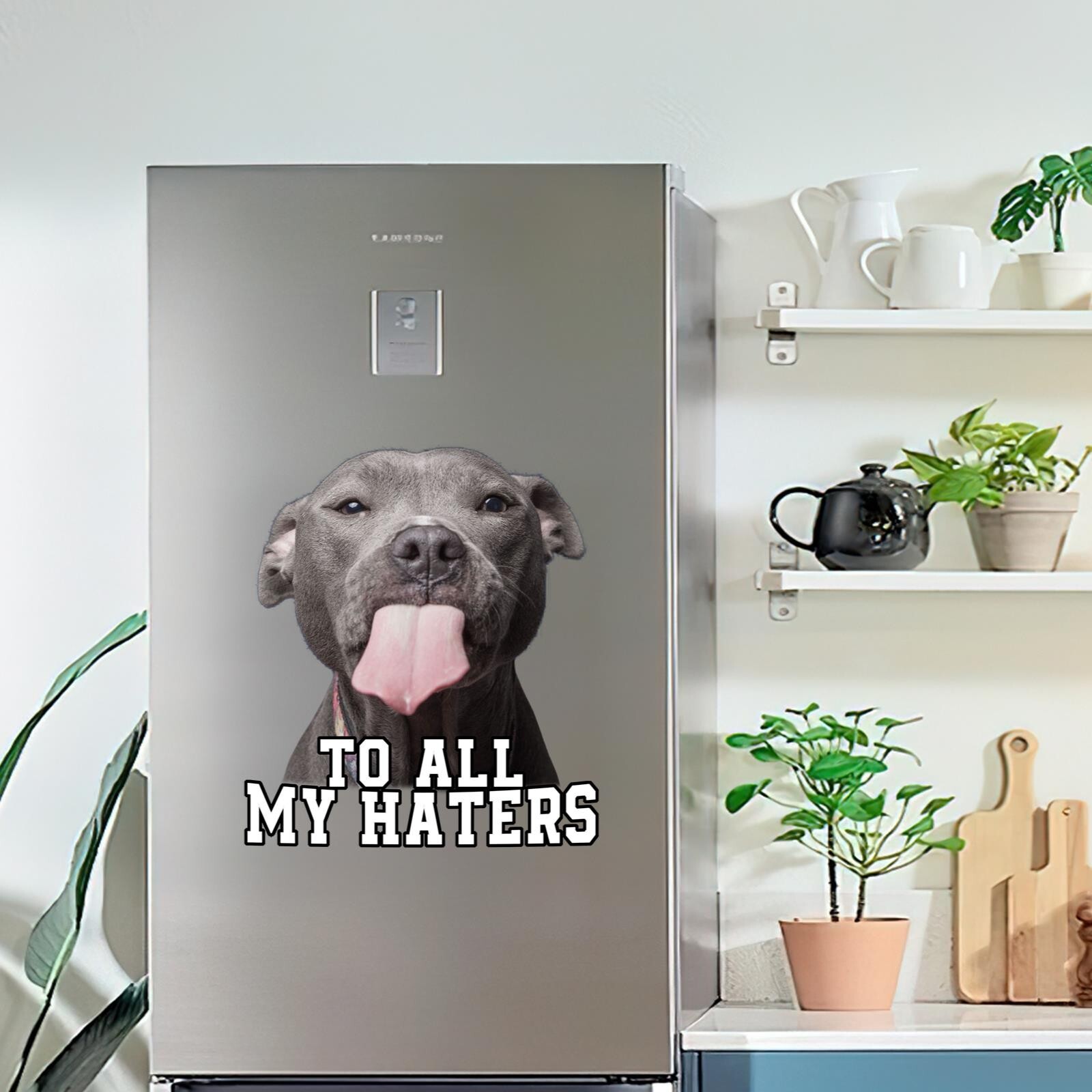 Pitbull Decals Pitbull Car Sticker Funny To All My Haters Stickers Meme Decal