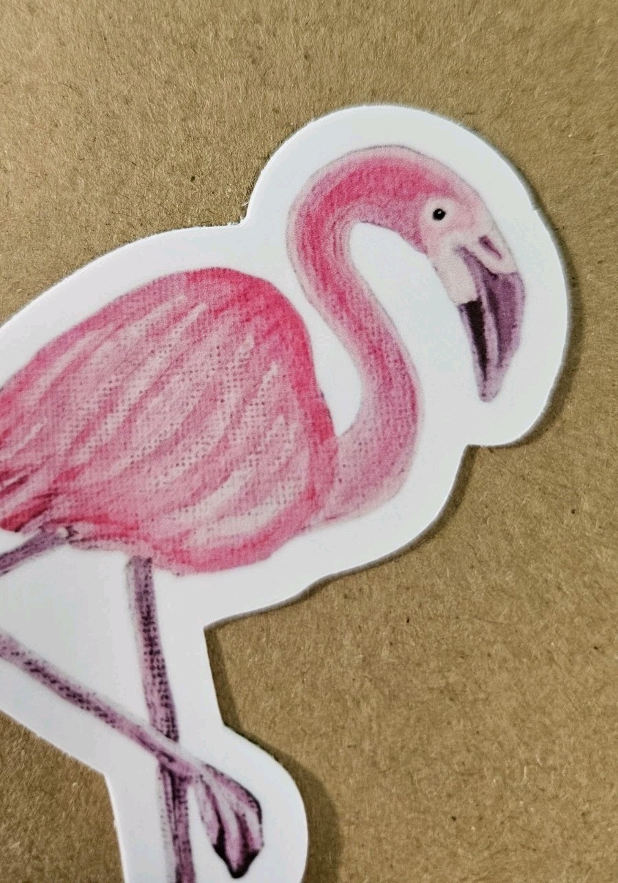 Flamingo Sticker Matte Vinyl, Original Art, 3" Tall Die Cut Sticker of Bird Art